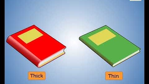 Thick and Thin | Learn Opposites | Mathematics Grade 1 | Periwinkle