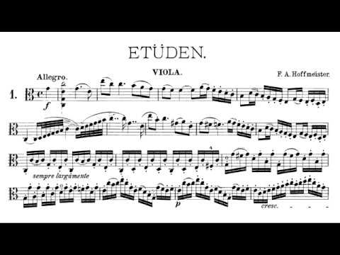 Franz Anton Hoffmeister: Viola Concerto in D major, Gérard Caussé