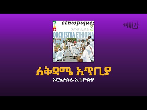 ቪዲዮ: ኦርኬስትራ ሮቦትን እንዴት ነው የምታስተዳድረው?