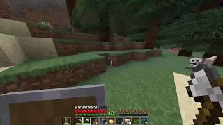 Random chill Minecraft stream