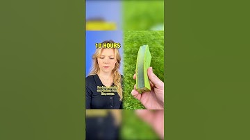 find your matching symbol or else… Part 3 #pov #skit #series #thejessicakaylee #povs