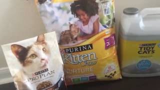 My NEW Kitten Jubilee + How I Got A FREE Adoption Starter Kit From Petfinder, Petsmart and Purina