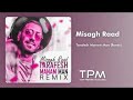Misagh Raad Tarafesh Manam Man Remix میثاق راد ریمیکس آهنگ طرفش منم من 