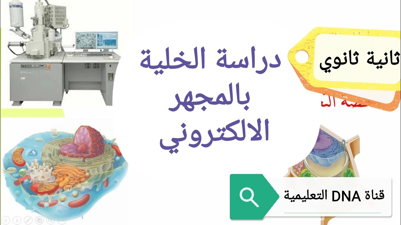 دراسة الخلية بالمجهر الالكتروني 2 ثانوي