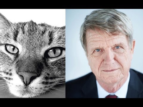 2019 Sir Hugh Laddie Lecture: No cats and no doctrine of equivalence?