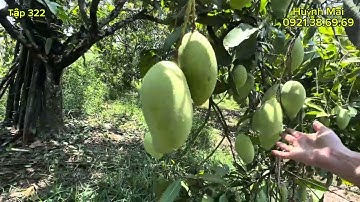 Siêu rẻ! Nhà Vườn Trái Cây 3.000m, giá chỉ 500K/m, Sổ Riêng, 2 Mặt Tiền Đẹp   Đồng Nai