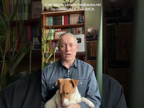 Видео: Рисперидон и кучета