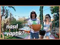 Hayalimizdeki Bahçeyi Nasıl Yaptık❓ 2 ayda 0'dan Platform Yapmak 🌴 KÖY MODU