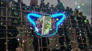 DJ PARGOY BREWOG VIRAL SAAT BETTLE VS SRIWIJAYA DI SUMBERSEWU