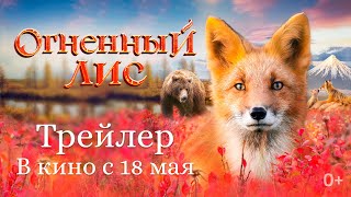 Огненный лис — официальный трейлер самого рыжего фильма! В кинотеатрах с 18 мая!