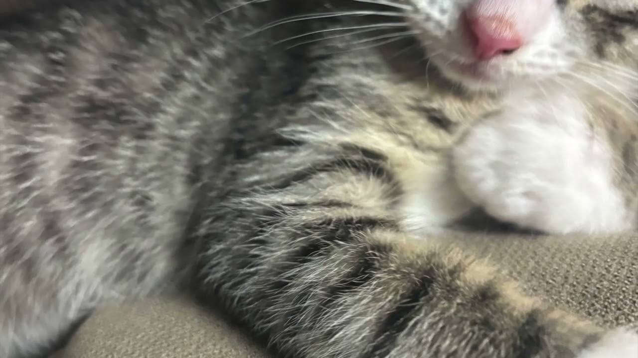 Boost by Earnest Astrolabe & The Cosmic Groovy: New Blood