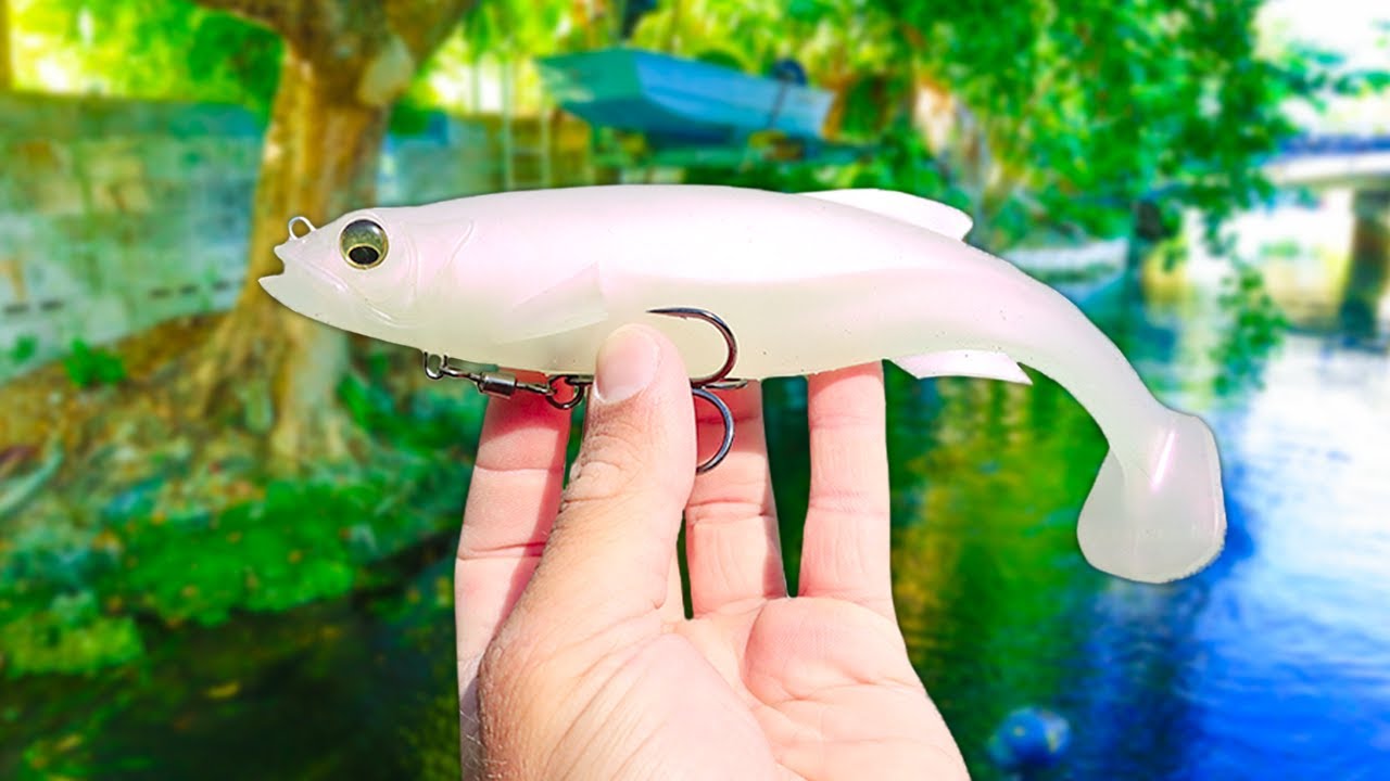 Catching GIANT BASS on BIG SWIMBAITS!