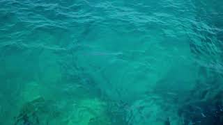 Calm Waves Close-Up Free Background Videos, Motion Graphics, No Copyright | All Background Videos