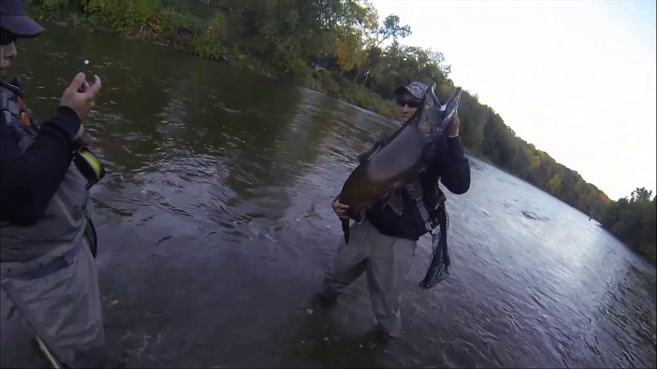 Milwaukee River Fly Fishing October 2013 YouTube