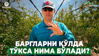 :   ɨ  ! |   #shuhratabrorov