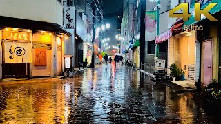 [4K] A Walk in Heavy Rain at night around Oimachi, Tokyo, Japan #ASMR