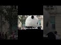 Un Panda à La Rochelle Un Panda à La Rochelle