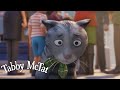 Will Tabby McTat Reunite with Fred? @GruffaloWorld  : Tabby McTat
