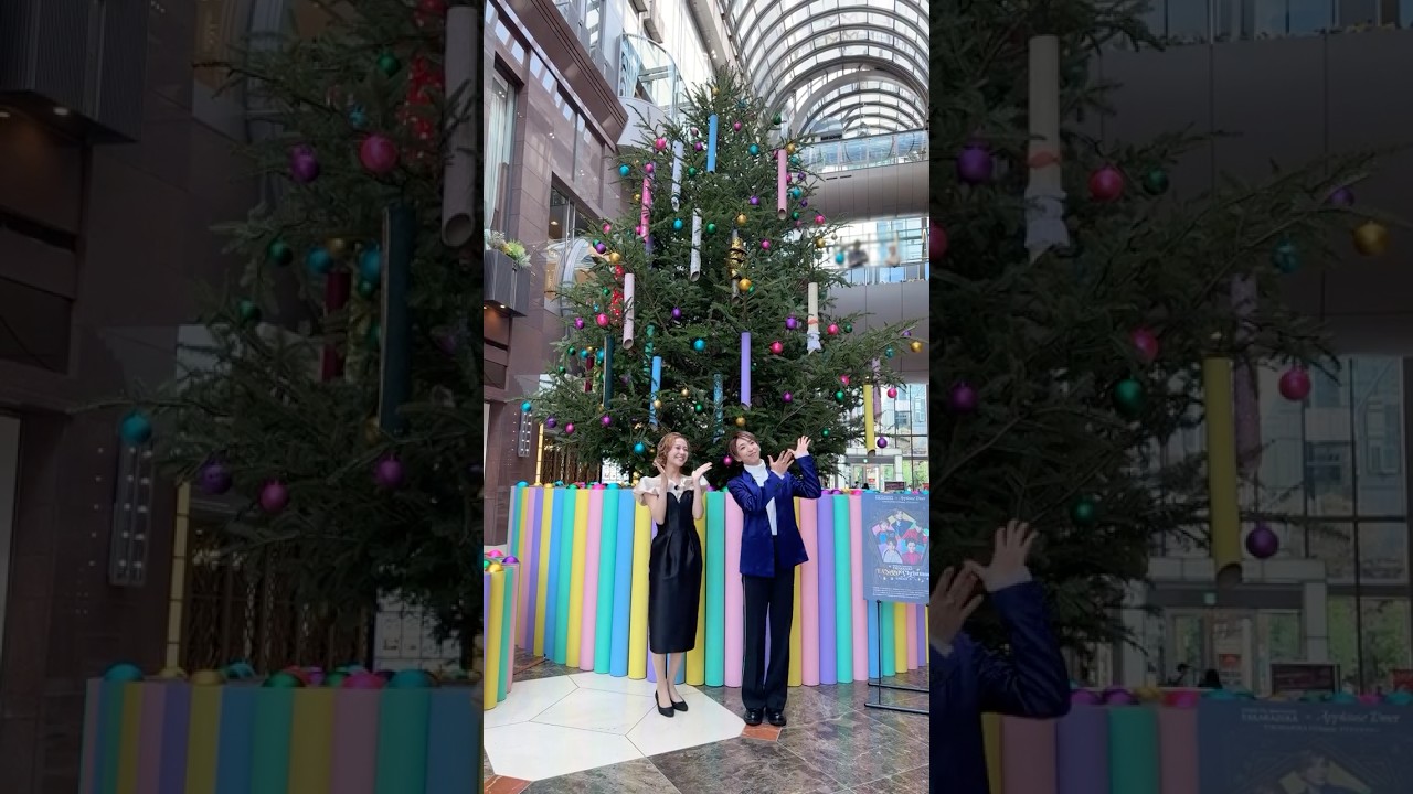 TAKARAZUKA FANtastic Christmas ツリー紹介】meet the タカニュ vol.8 