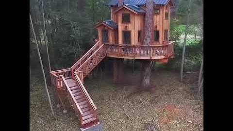 Amazing Treehouse Design and Construction on Juan Island