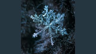 Snowflake Serenade
