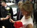 tribute to Princess Diana, rose of England