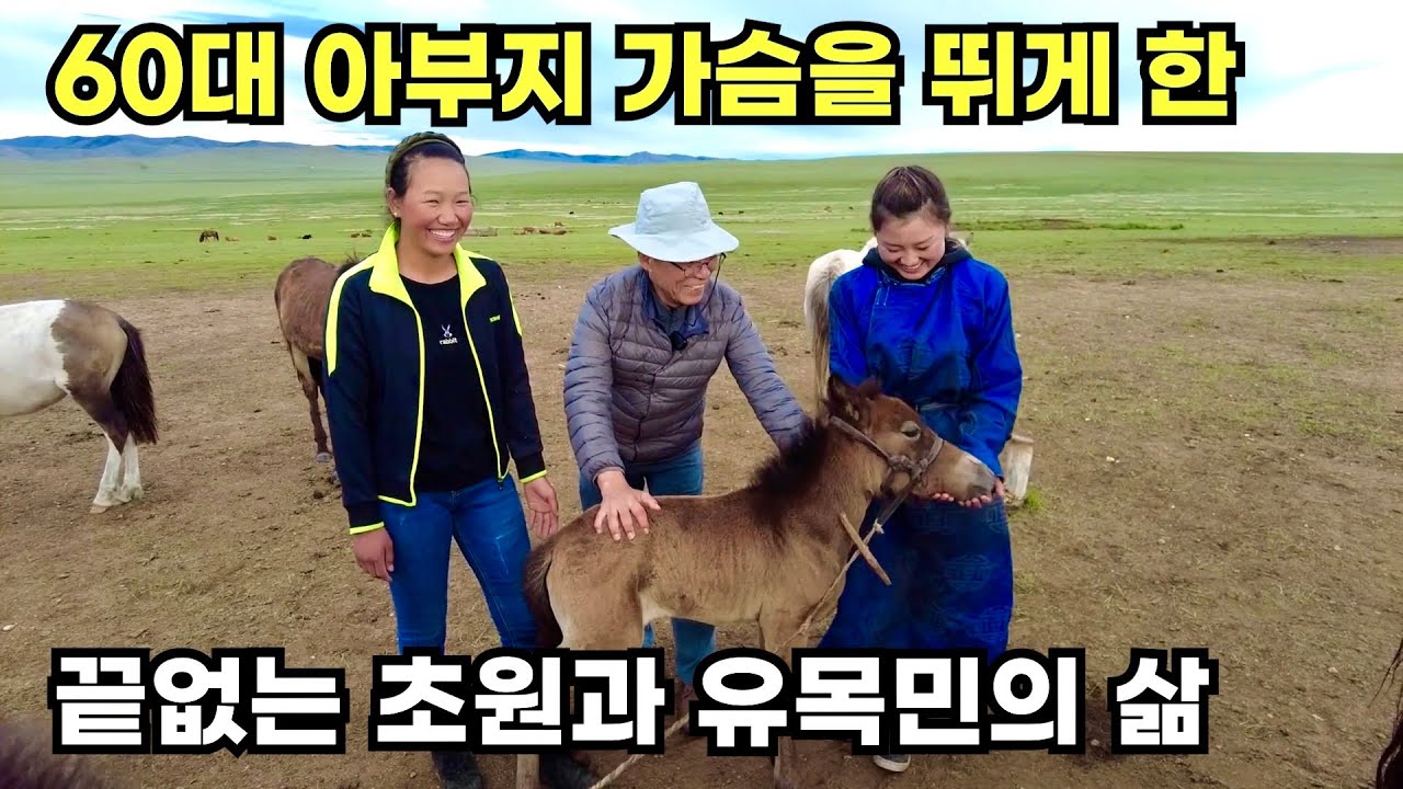 몽골 끝없는 푸른 초원에서 바람과 가축과 함께 살아보기 [몽골몰아보기 2편]