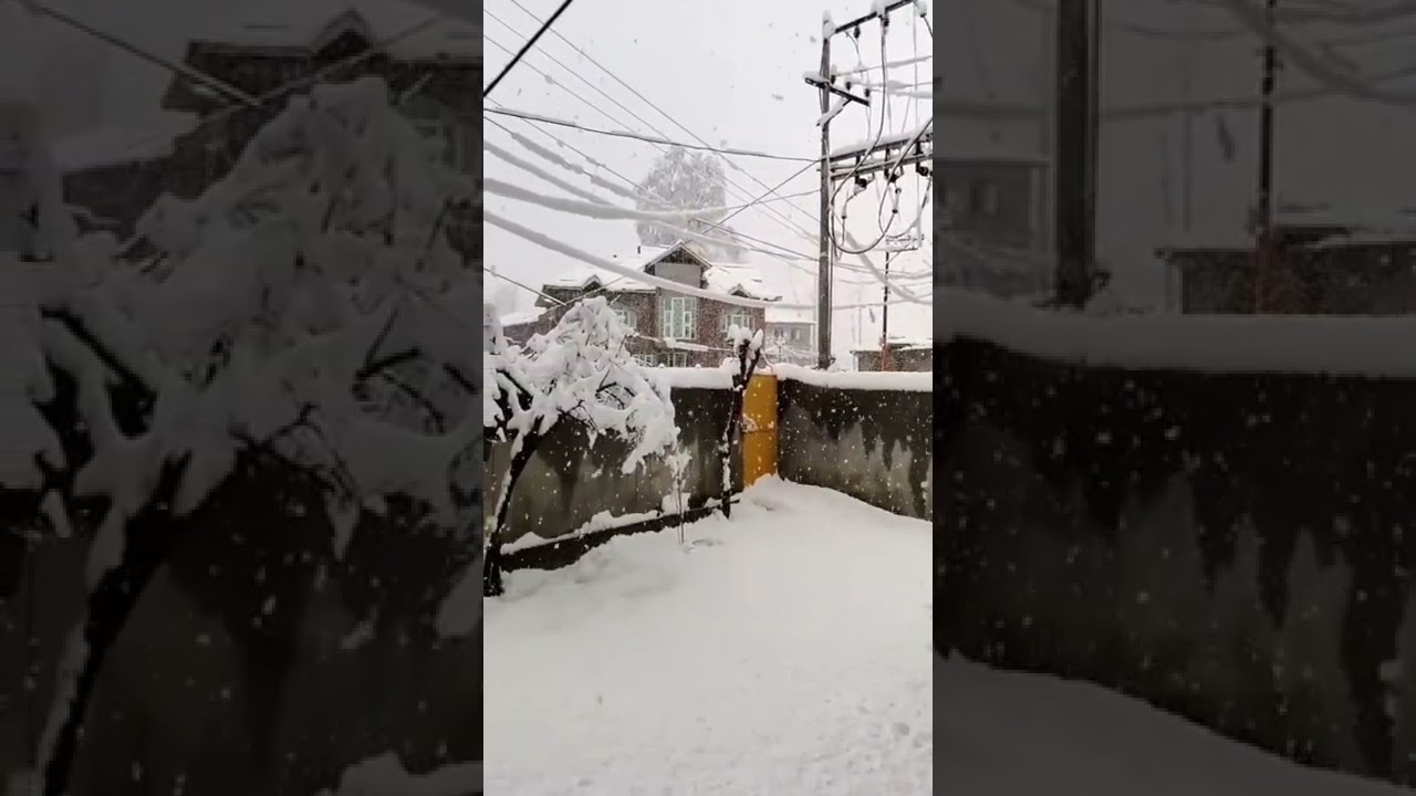 Beautiful snow fall view Whatsapp status 