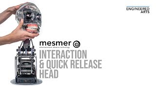 Mesmer 2.0: Interaction & Quick Release Head