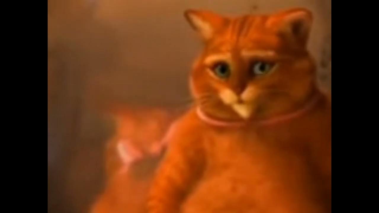 Кот в сапогах трейлер. Кот в сапогах из шрека. Кот в сапогах картинки. Шрек 2 кот. Кот в сапогах 2011.