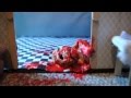 Monster zombie claymation a stop motion animation