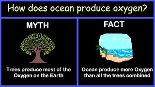 How does ocean produce oxygen?