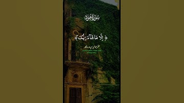 سورة هود. قرآن كريم بصوت جميل #اكسبلور #لايك #قرآن #ملفات_بوليسية