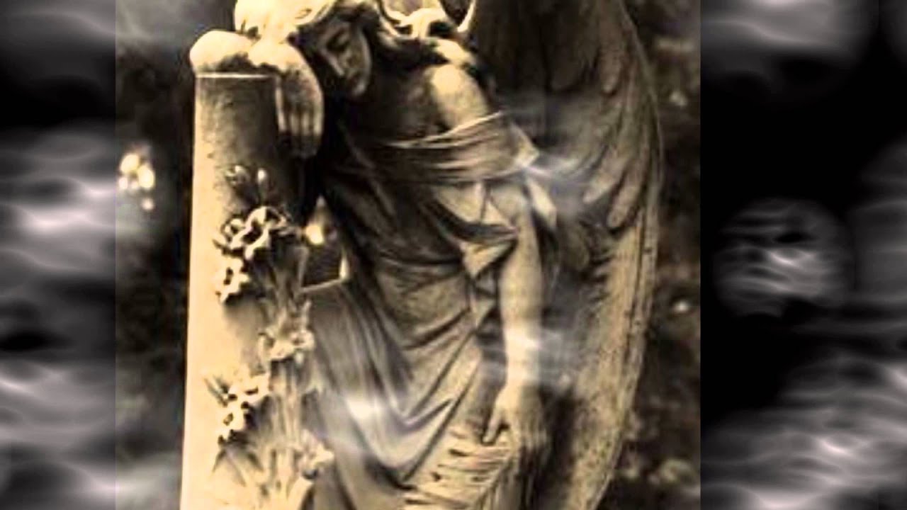 'The Rose Within - A Gothic Romance' by Sana Pirzada video editing software free