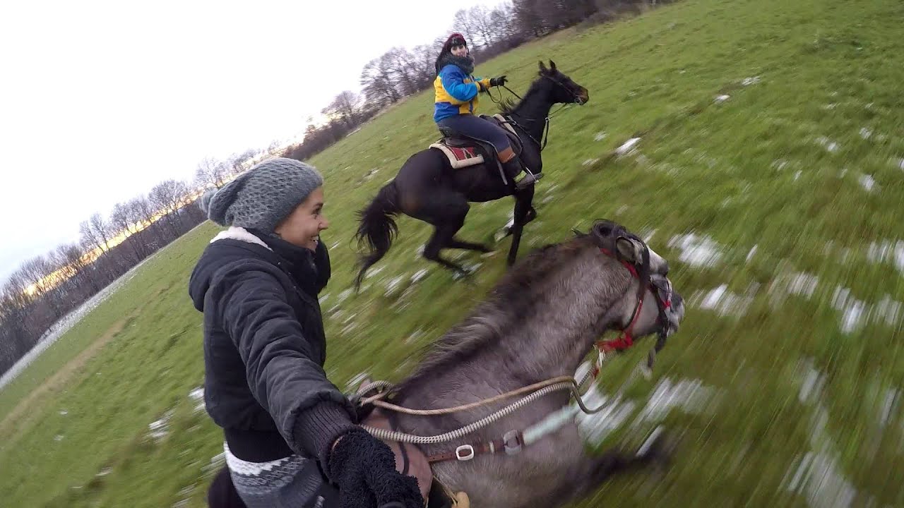 SAIL , Epic fast horse gallop ( GoPro Hero 4 black ) YouTube