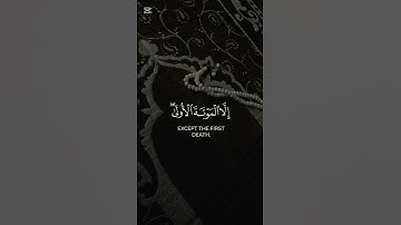 سورة الدخان {الآية 56} بصوت الشيخ عبد الرحمن الزواوي ❤️❤️