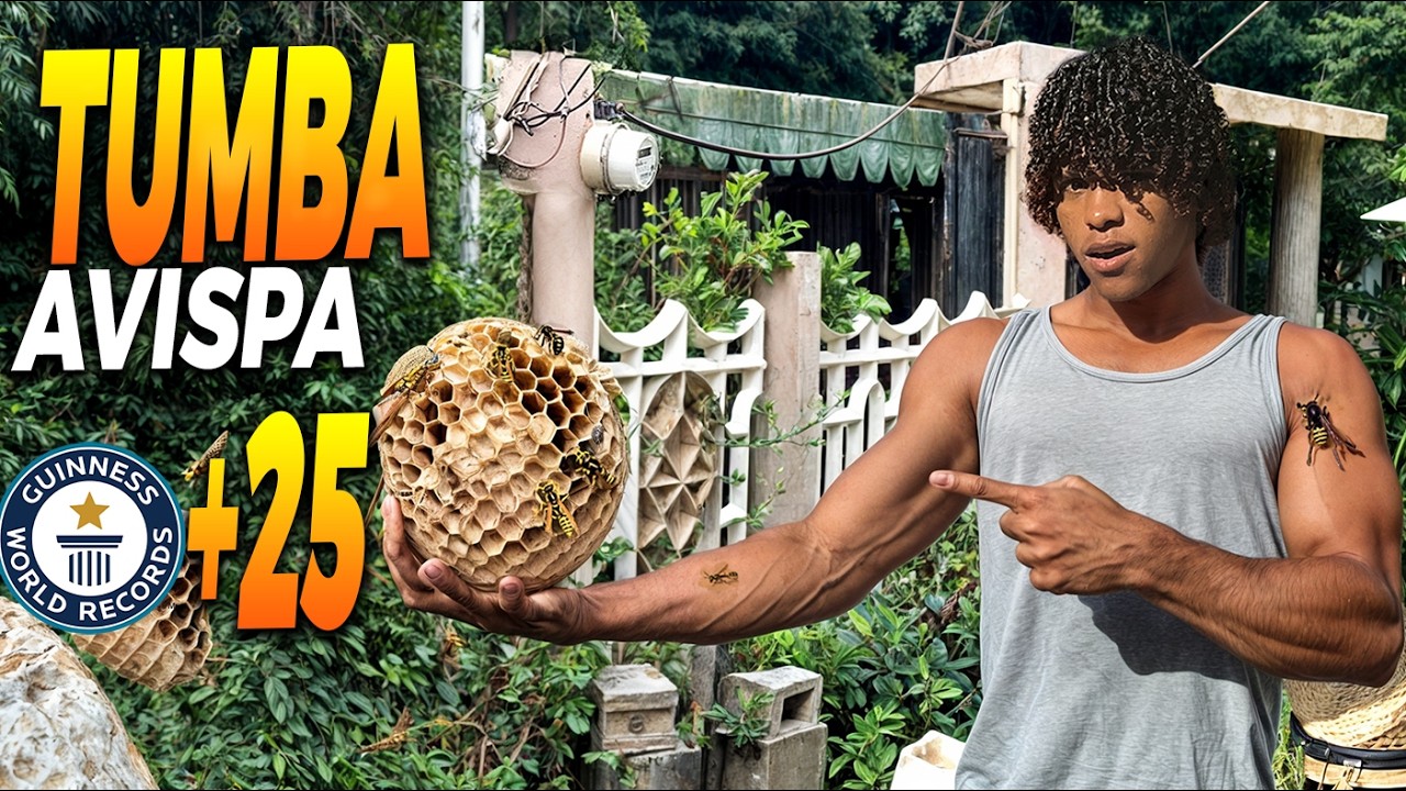 Las Mejores Bromas del 2024 Rddani!