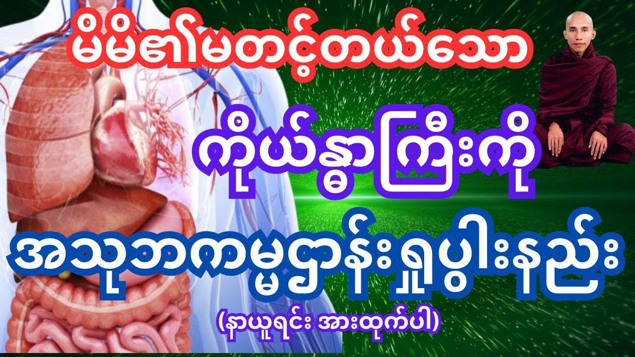 မိမိကိုယ်ခန္ဓာကို (၃၂) ကောဌာသ အသုဘကမ္မဌာန်းရှုနည်း (နာယူလျှက်ရှုမှတ်အားထုက်ပါ)