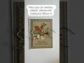 Autumn Card-Carte Automnal #stampinupcanada #cardcreations #stampinupcards #carddesigner #cardmaking