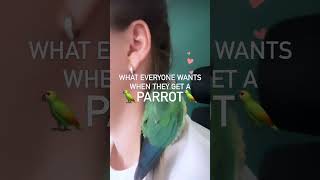 The reality of having parrots 🦜 #parrotcare #parrotlovers #birds #greencheek #conure #petbird #birb