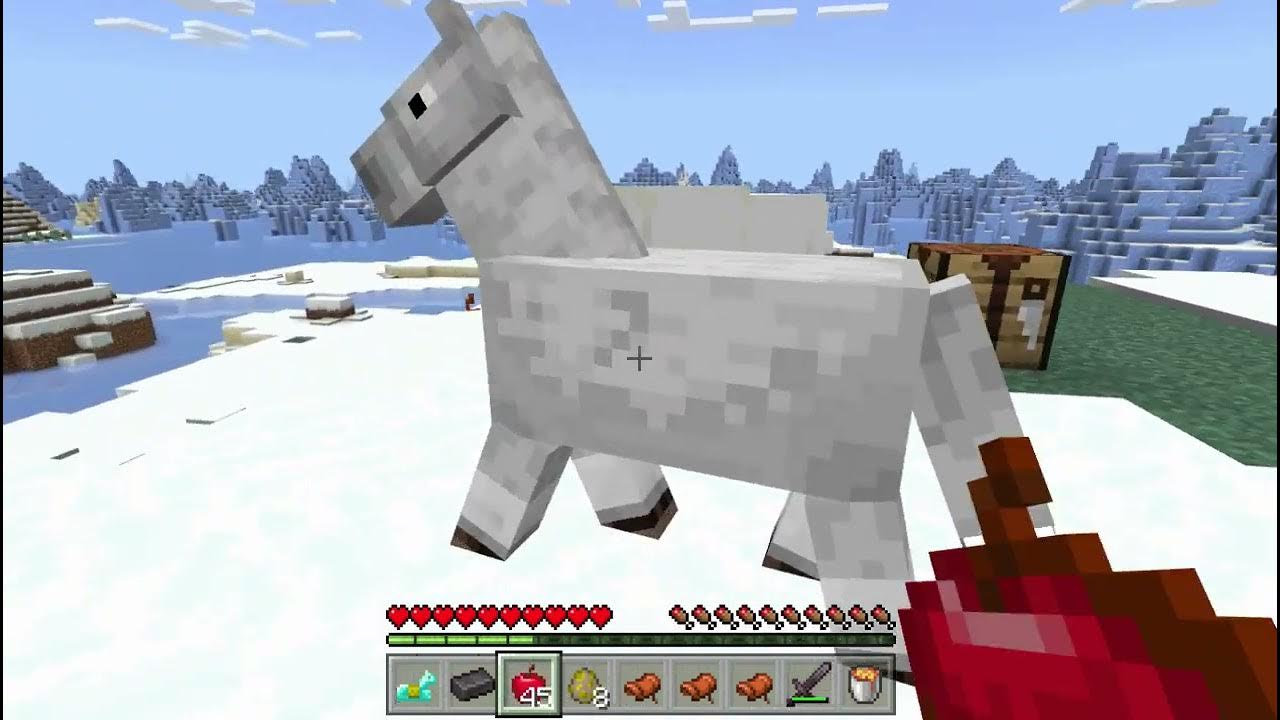 Netherite Horse Armor // Minecraft pe // Addon YouTube