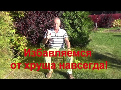 92. Личинки майского