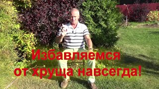92. Личинки майского жука? - гарантированное избавление!