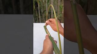 Just Amazing 3 Bamboo Slingshots #Crafts #Shorts