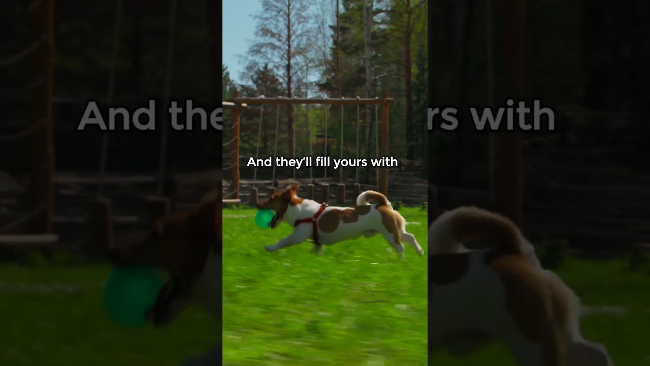 Be Their Second Chance | Adopt, Don’t Shop