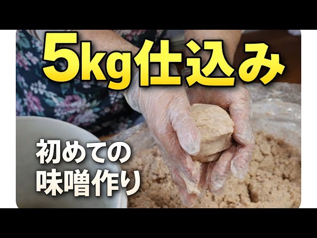 5kg仕込み】初めての味噌作り｜初心者でも出来る手作り味噌 - YouTube