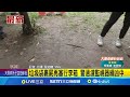 新莊箱屍案