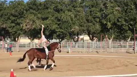 Equestrian Vaulting Alena Hammond