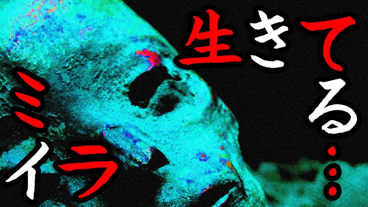 心霊動画 閲覧注意 恐怖 突然目を開けた300年前の少女のミイラ 美しい女の子の瞬きに映る戦慄の物語 Youtube 心霊動画 閲覧注意 恐怖 突然目を開けた300年前の少女のミイラ 美しい女の子の瞬きに映る戦慄の物語 Youtube