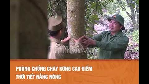 Phòng chống cháy rừng cao điểm thời tiết nắng nóng